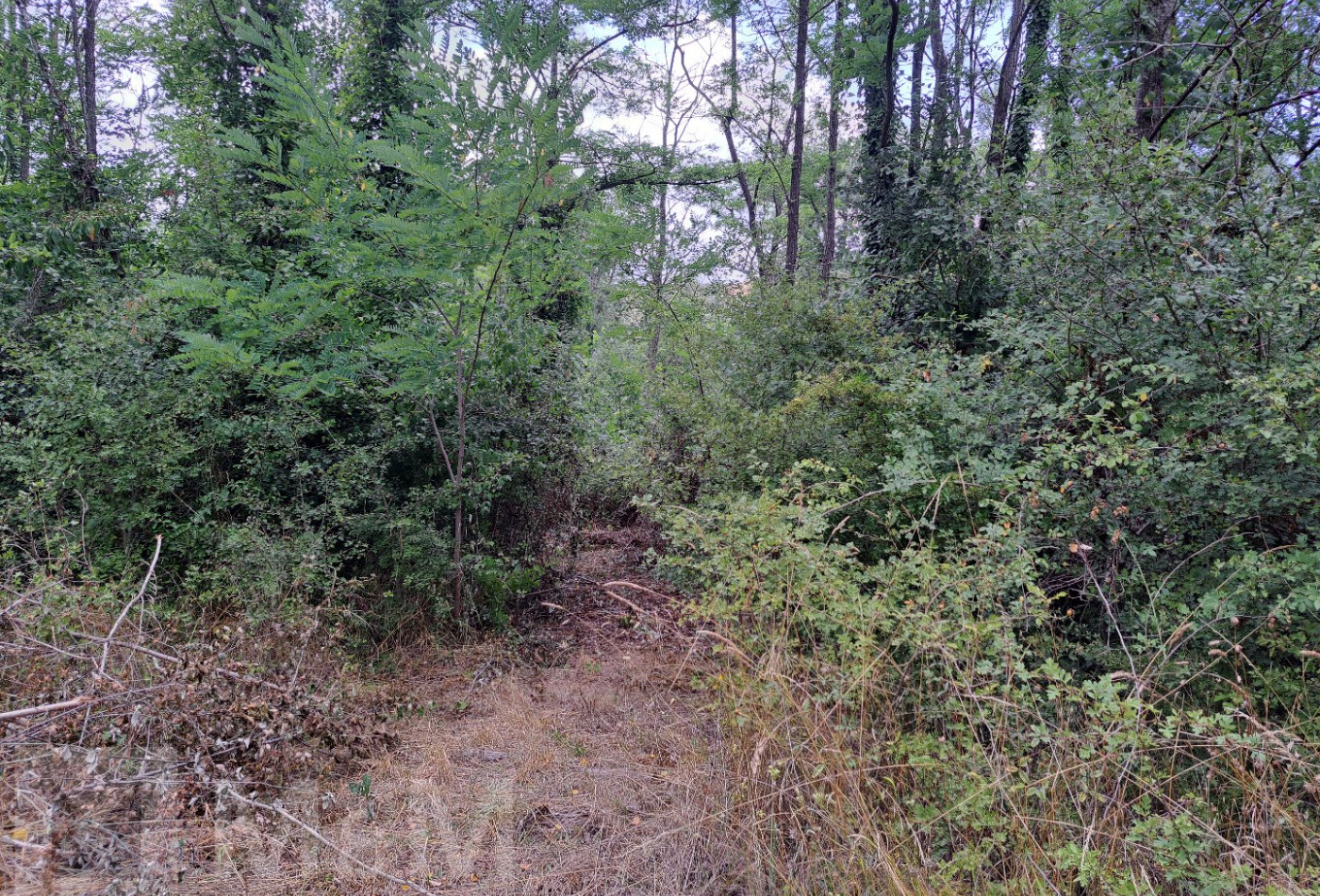 sale Terrain constructible Campagne Sur Aude - Photo 8