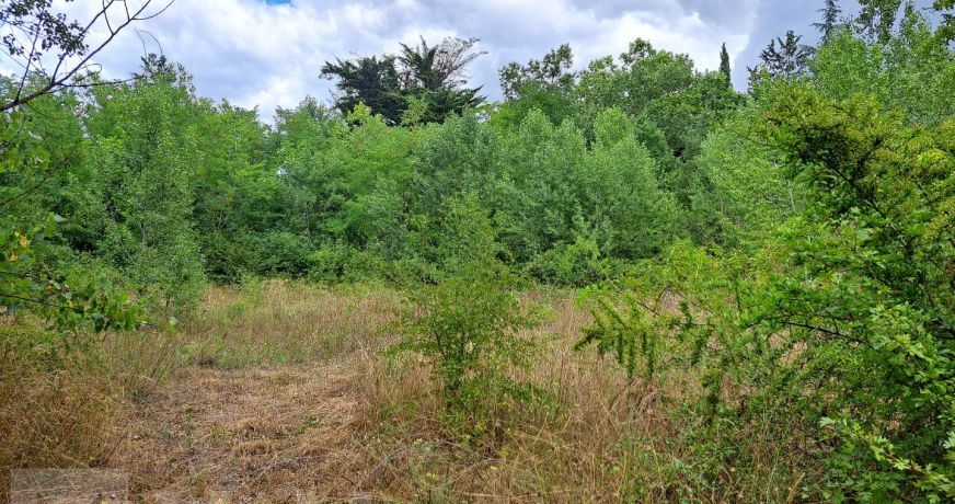 vente Terrain constructible Campagne Sur Aude