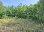sale Terrain constructible Campagne Sur Aude
