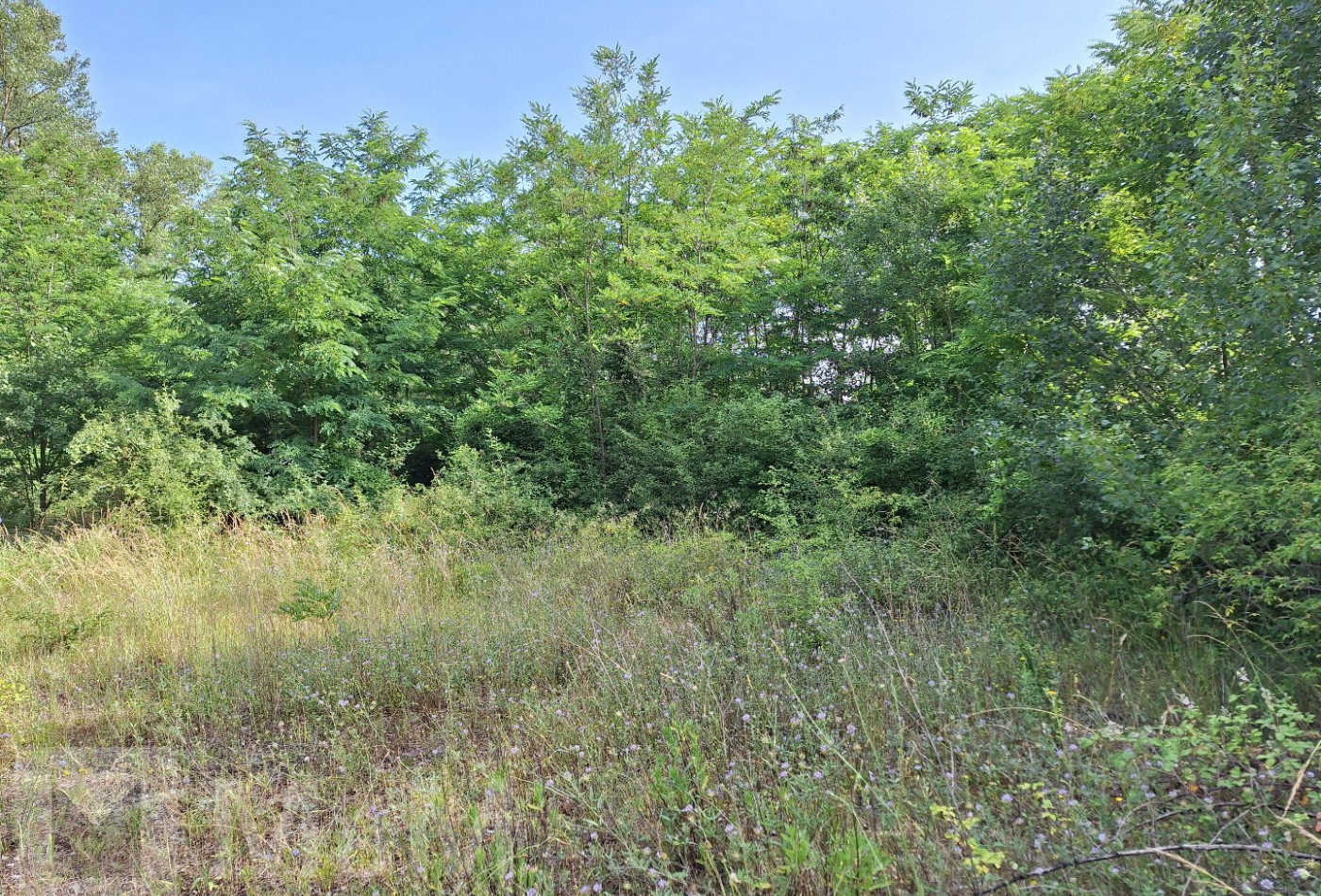 sale Terrain constructible Campagne Sur Aude - Photo 3