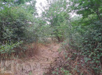 sale Terrain constructible Campagne Sur Aude