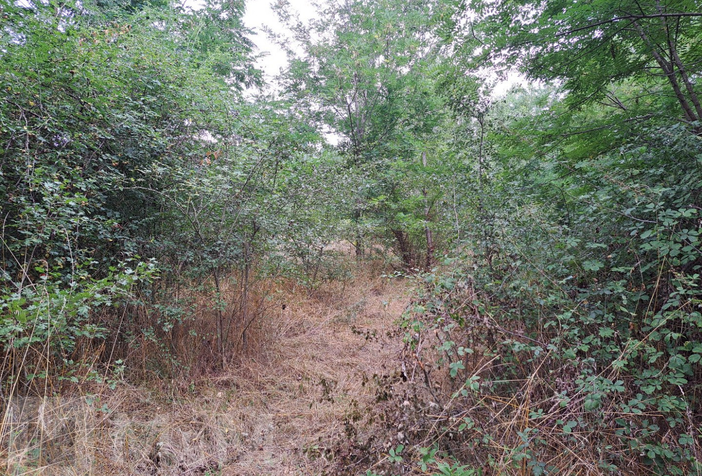 sale Terrain constructible Campagne Sur Aude - Photo 4