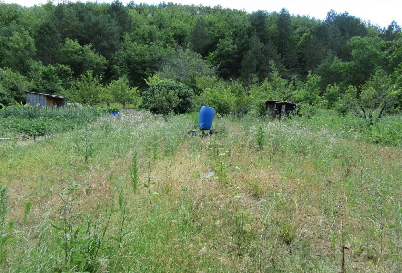 sale Maison de village Fa - Photo 5