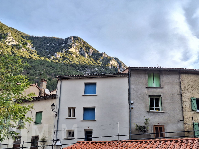 vente Maison de village Saint Martin Lys - Photo 1