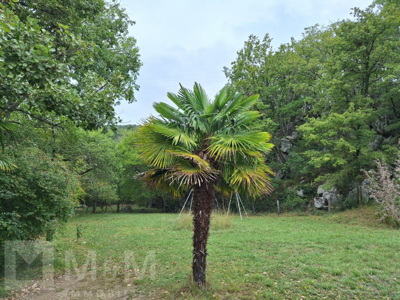 vente Maison individuelle Ginoles - Photo 3