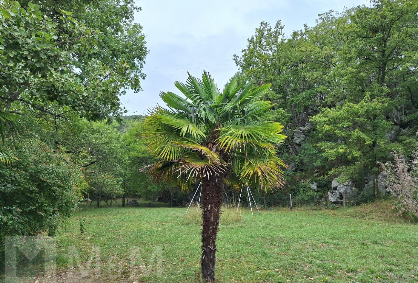 sale Maison individuelle Ginoles - Photo 3