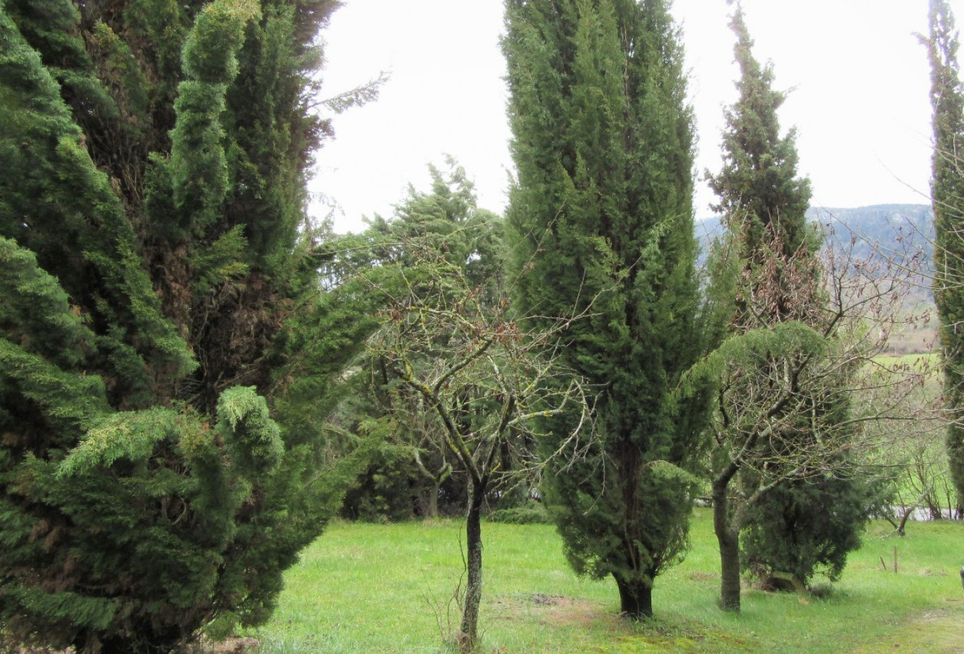 vente Maison individuelle Nebias - Photo 8