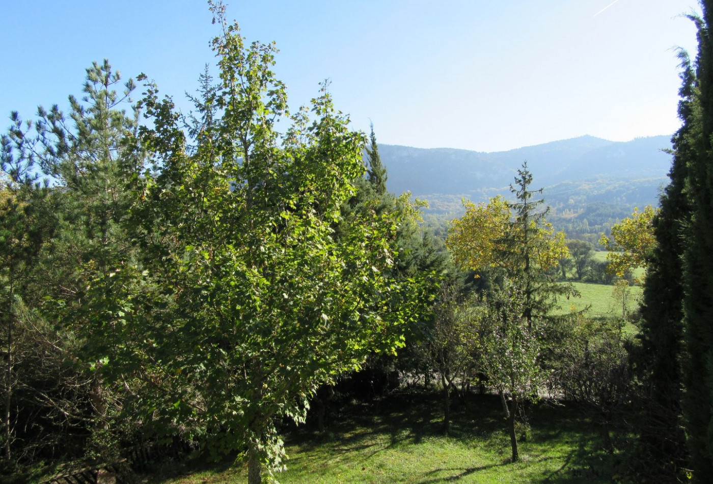 vente Maison individuelle Nebias - Photo 7