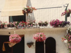 vente Maison de village Nebias