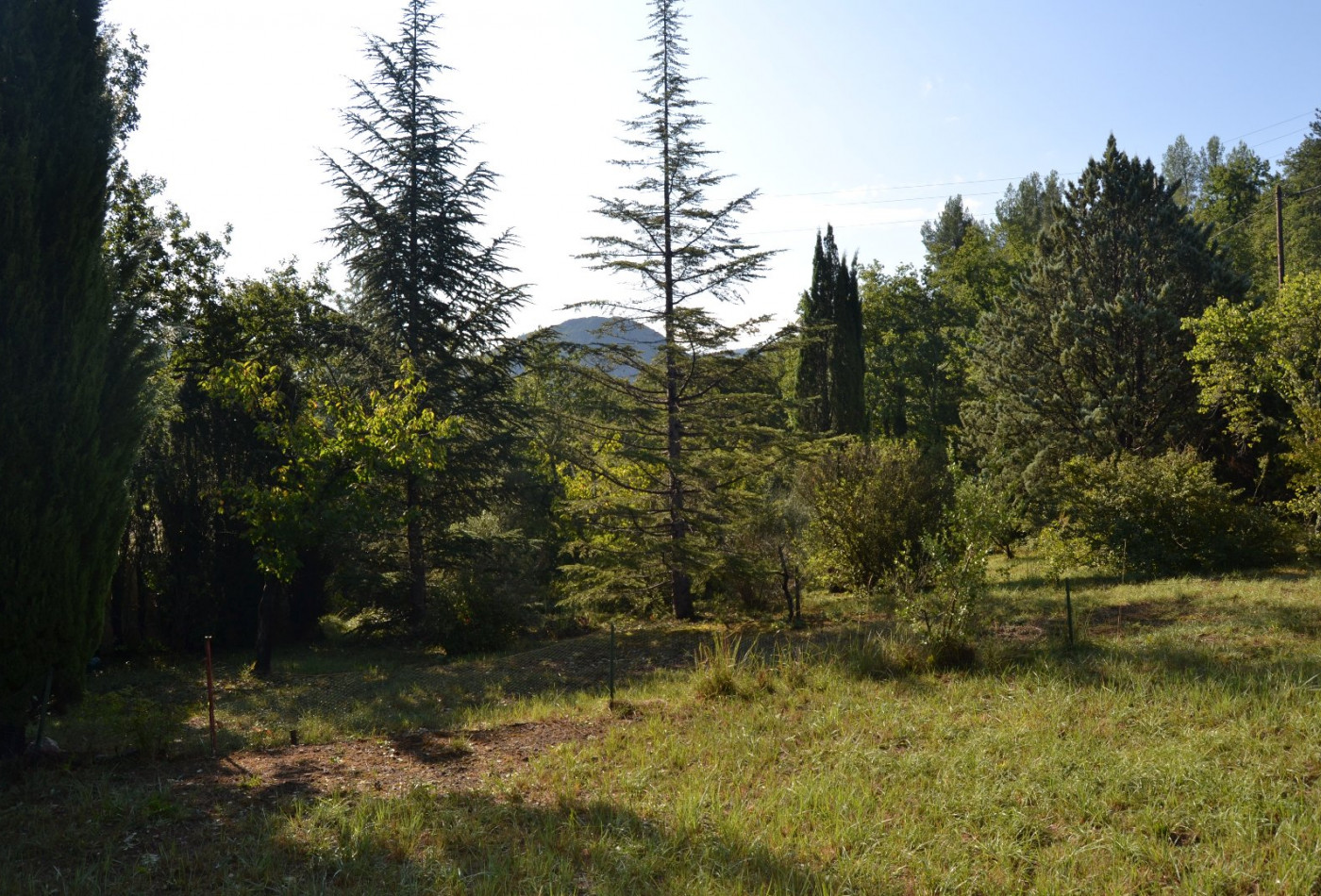 sale Terrain Quillan - Photo 4