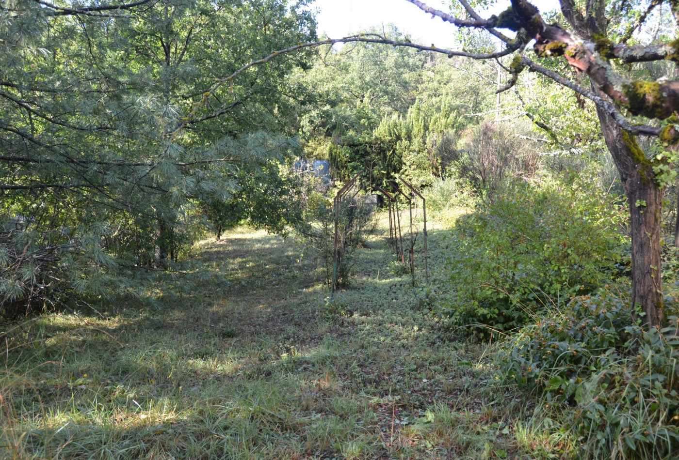 sale Terrain Quillan - Photo 5