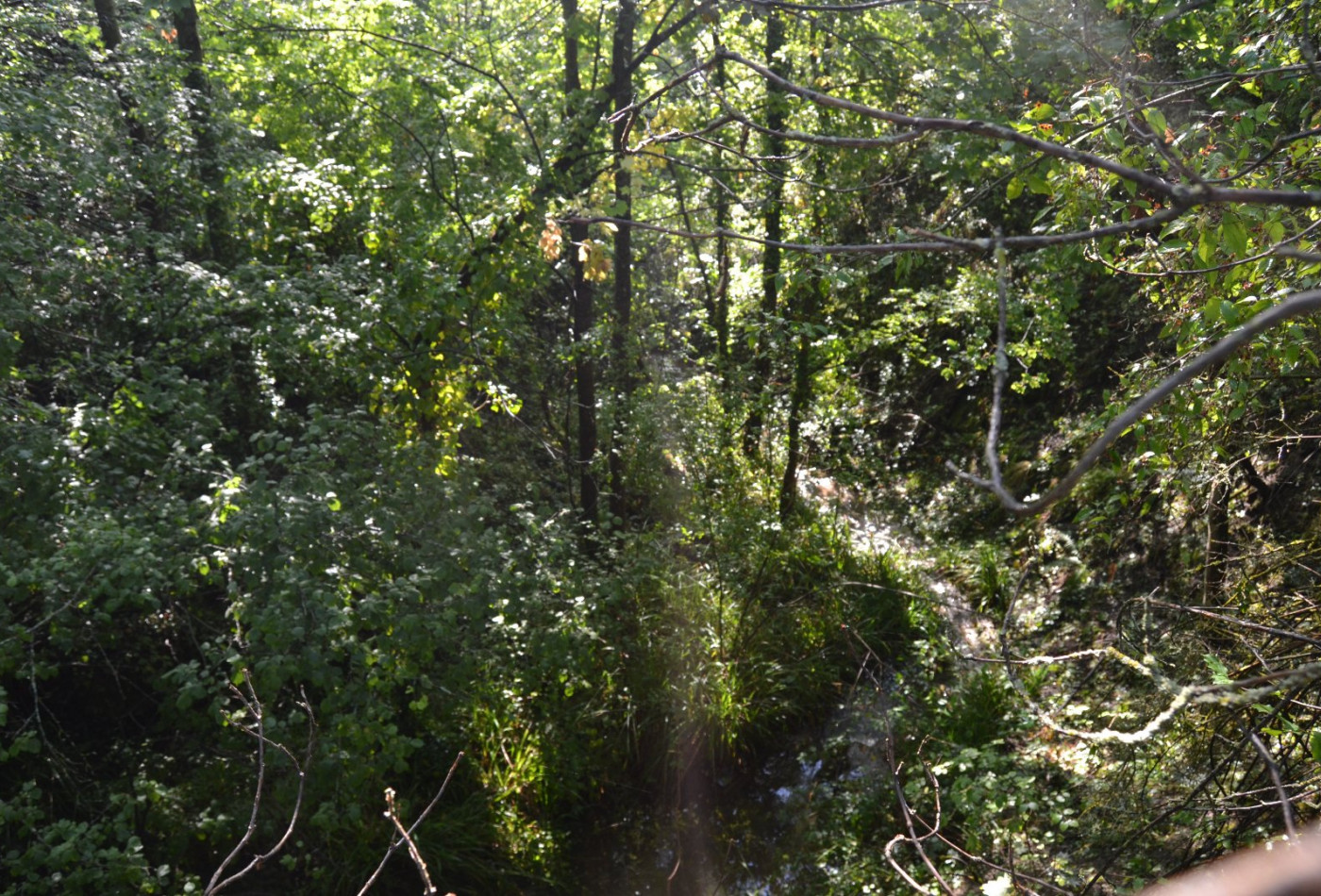 sale Terrain Quillan - Photo 6