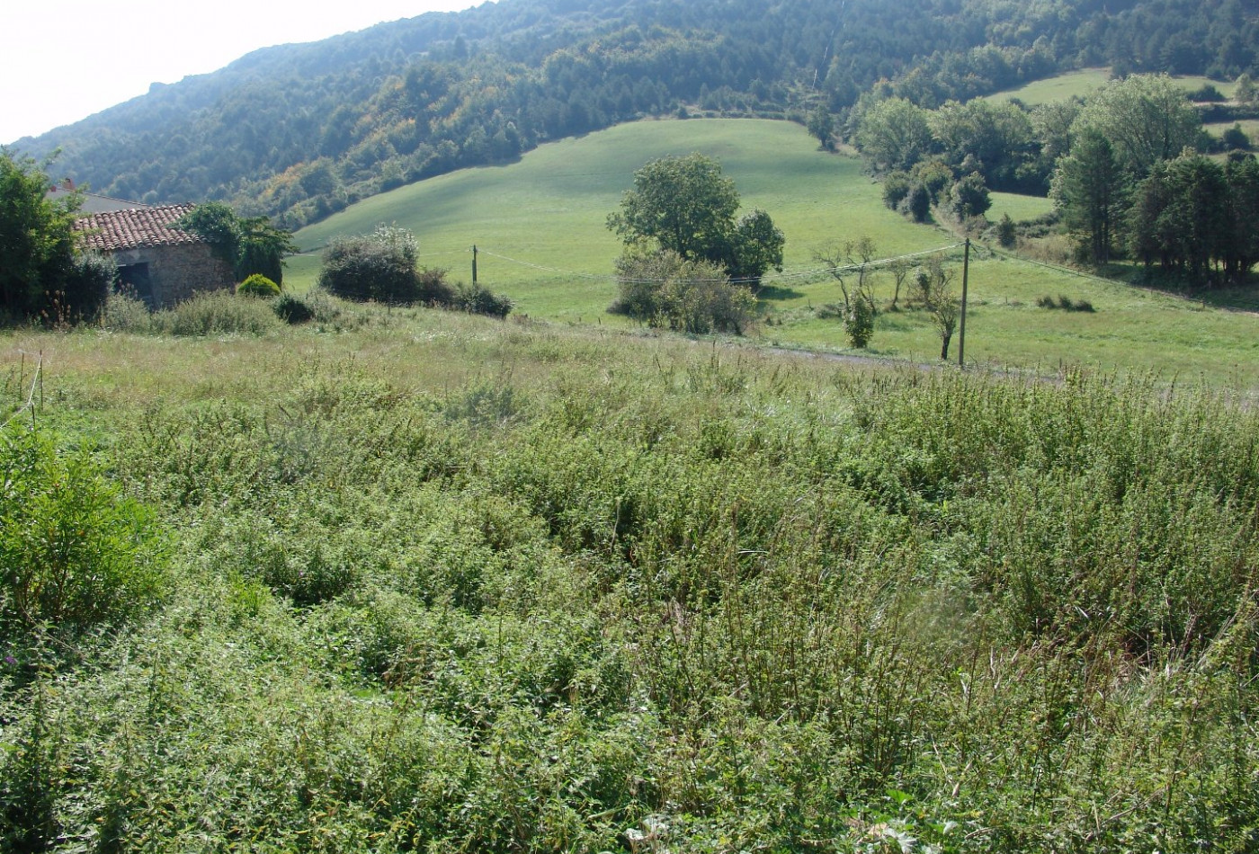 vente Grange Saint Louis Et Parahou - Photo 2