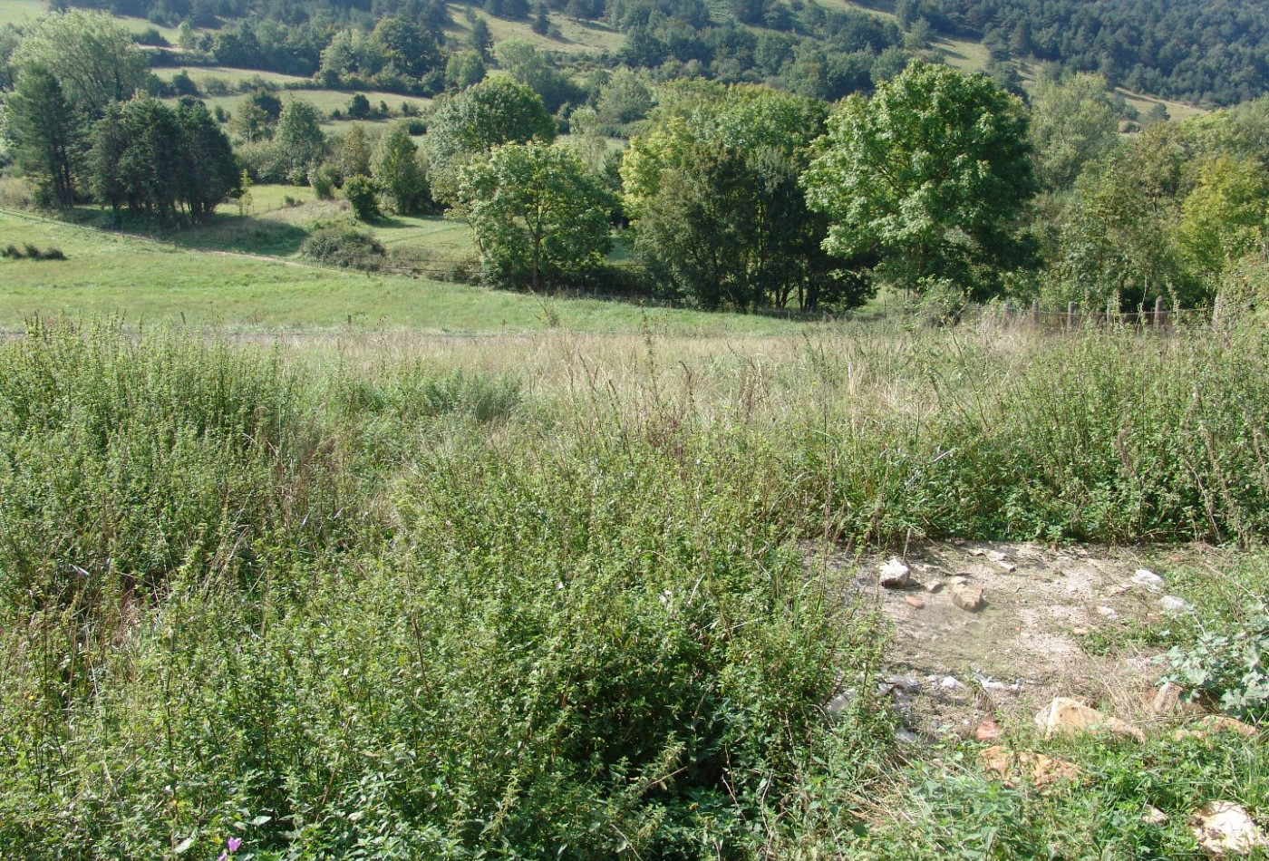 vente Grange Saint Louis Et Parahou - Photo 4