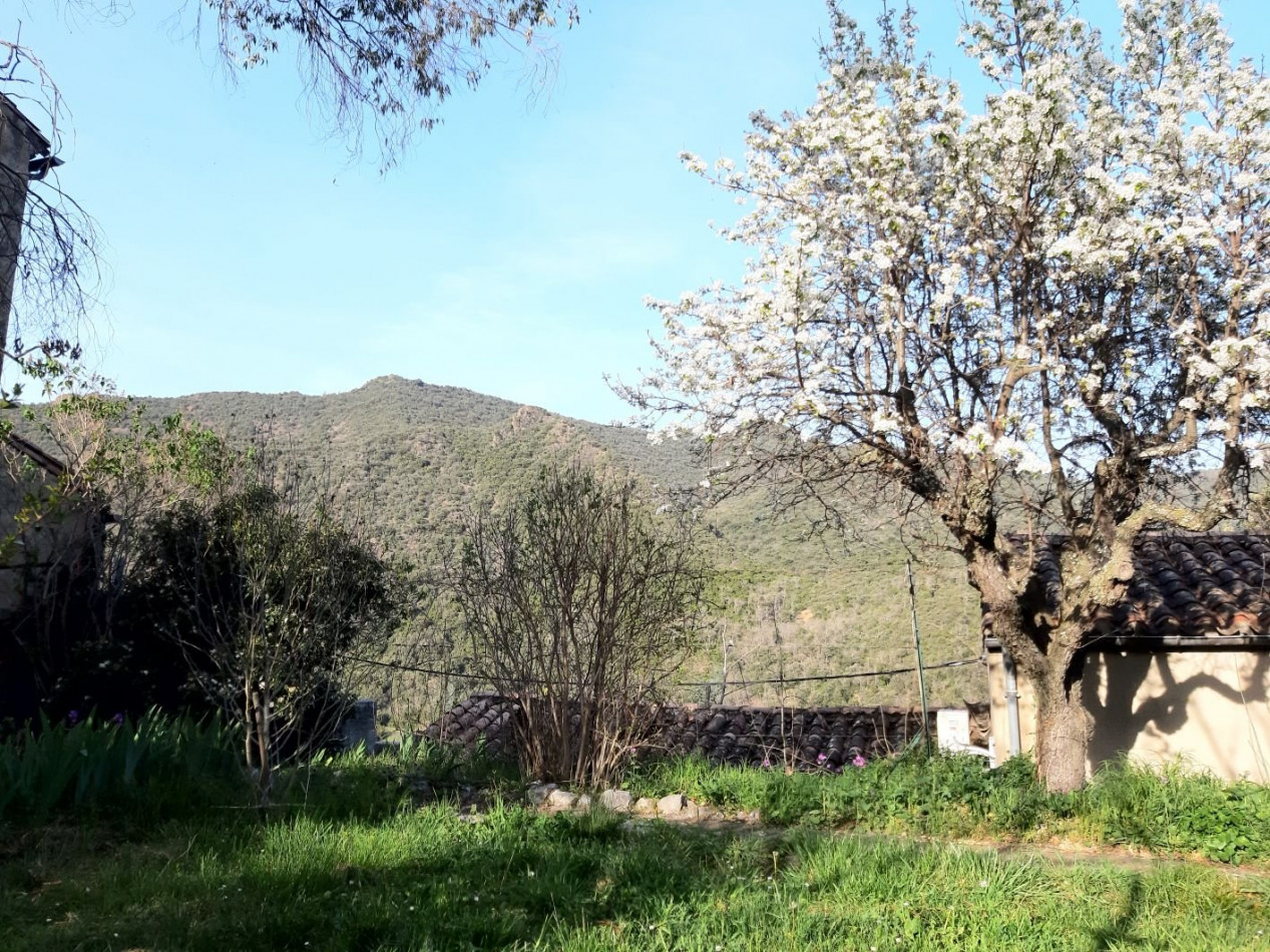 à vendre Maison Belvianes Et Cavirac - Photo 10
