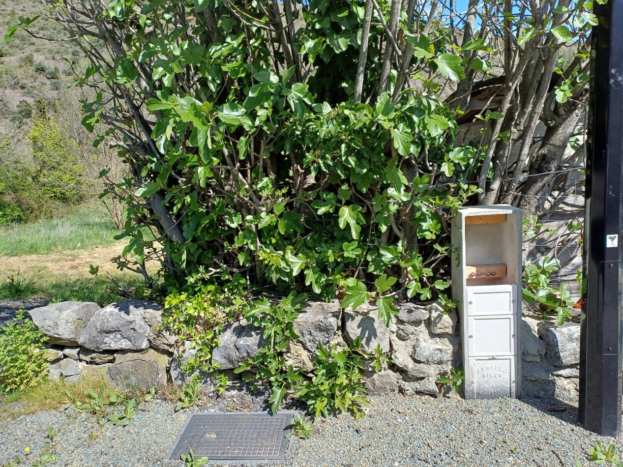 for sale Terrain Ginoles - Photo 6