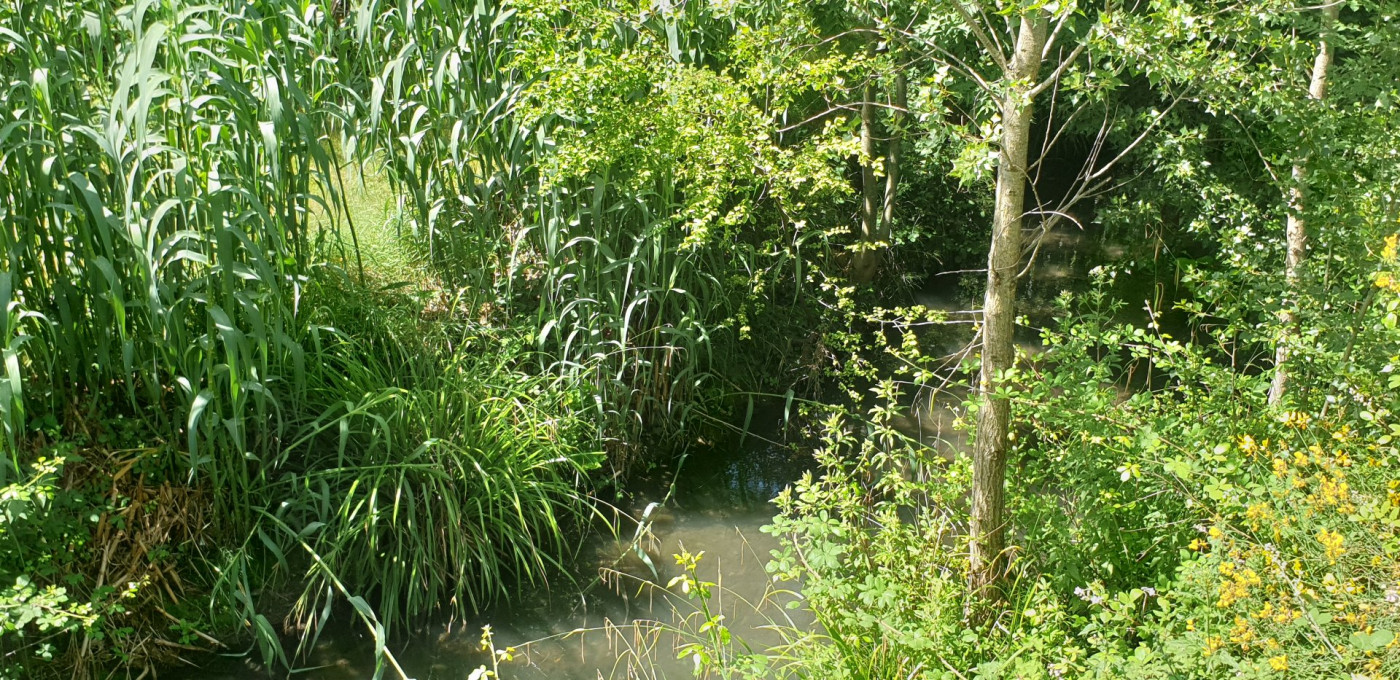 for sale Maison Quillan - Photo 8