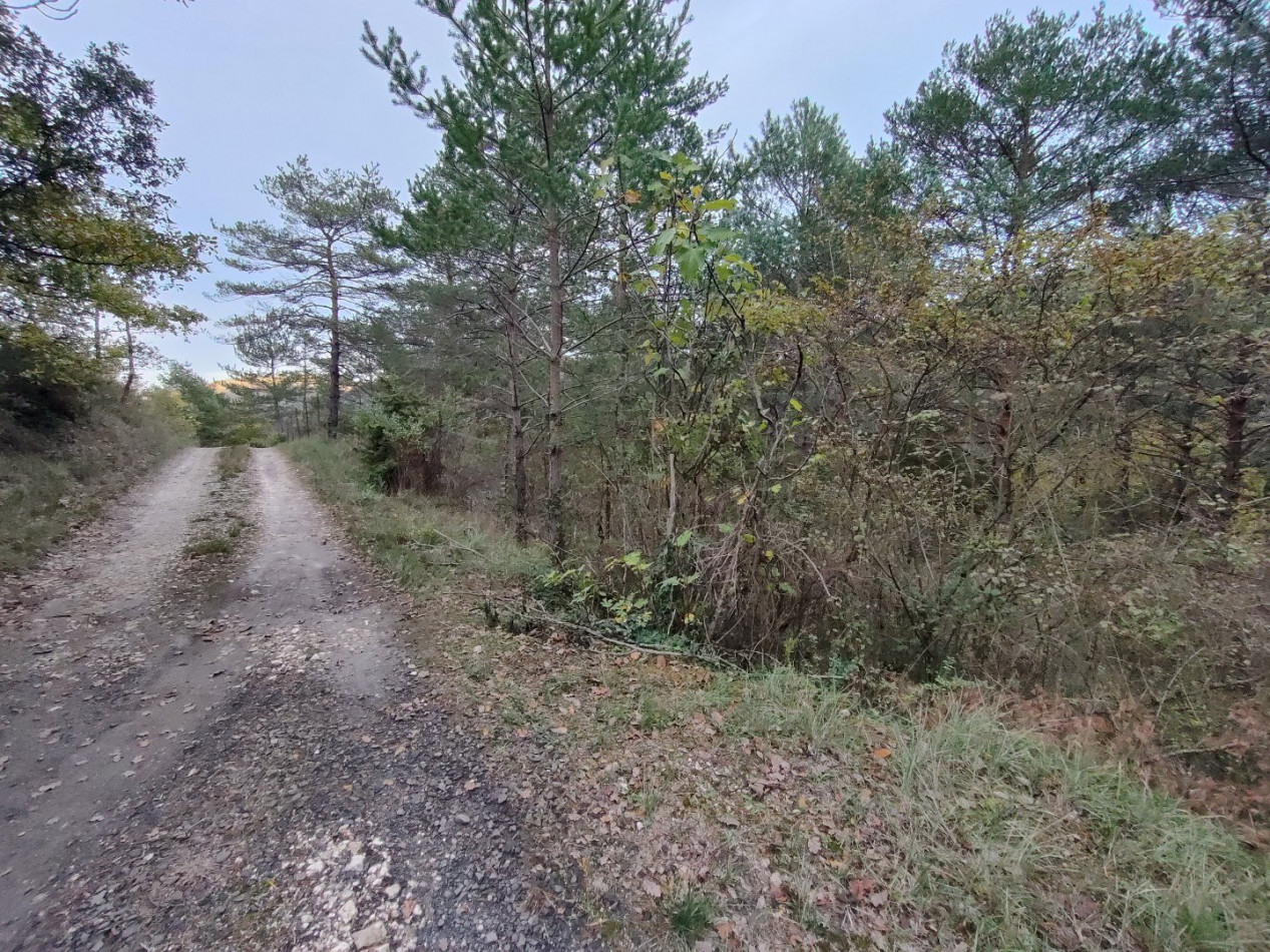 à vendre Terrain de loisir Ginoles - Photo 2