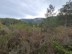 à vendre Terrain de loisir Ginoles