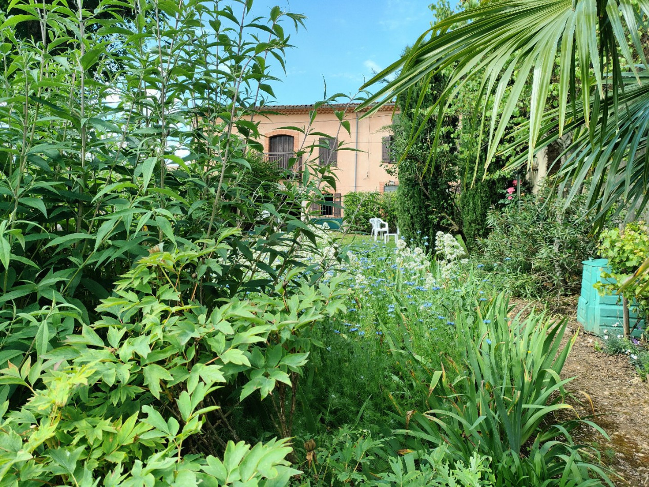 à vendre Maison de village Puivert - Photo 1