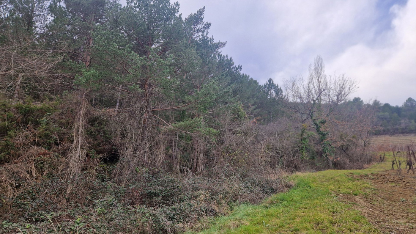 à vendre Terrain Antugnac - Photo 4