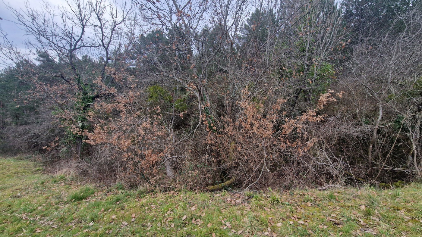 à vendre Terrain Antugnac - Photo 1