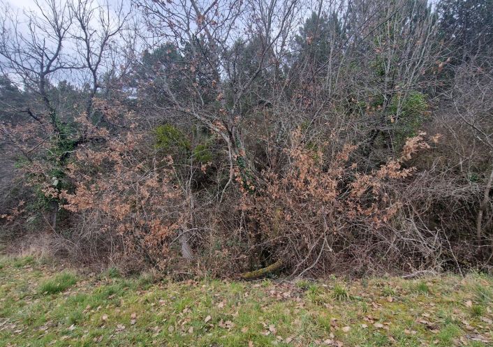 for sale Terrain Antugnac