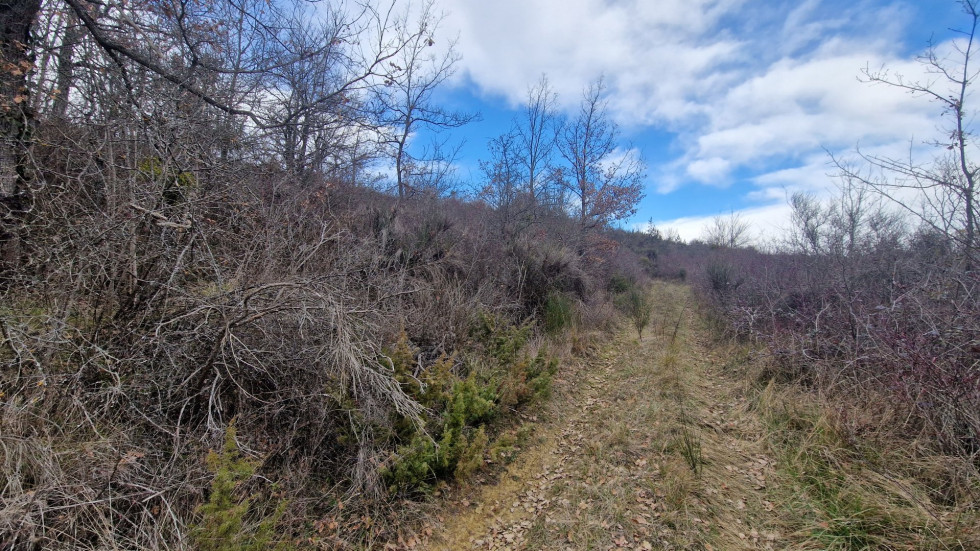 vente Terrain Antugnac - Photo 3
