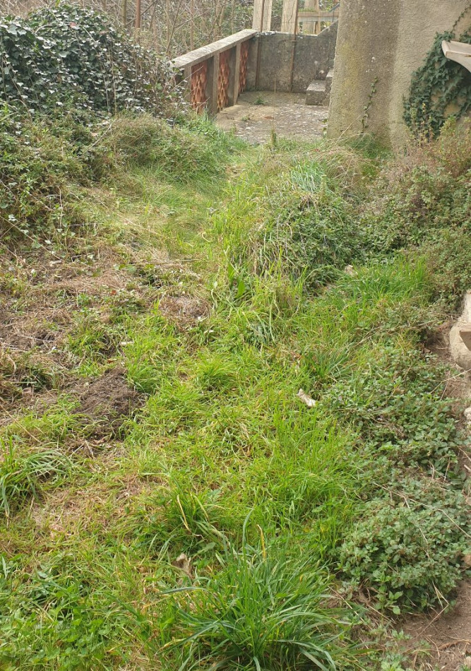 à vendre Maison de village Puilaurens - Photo 10