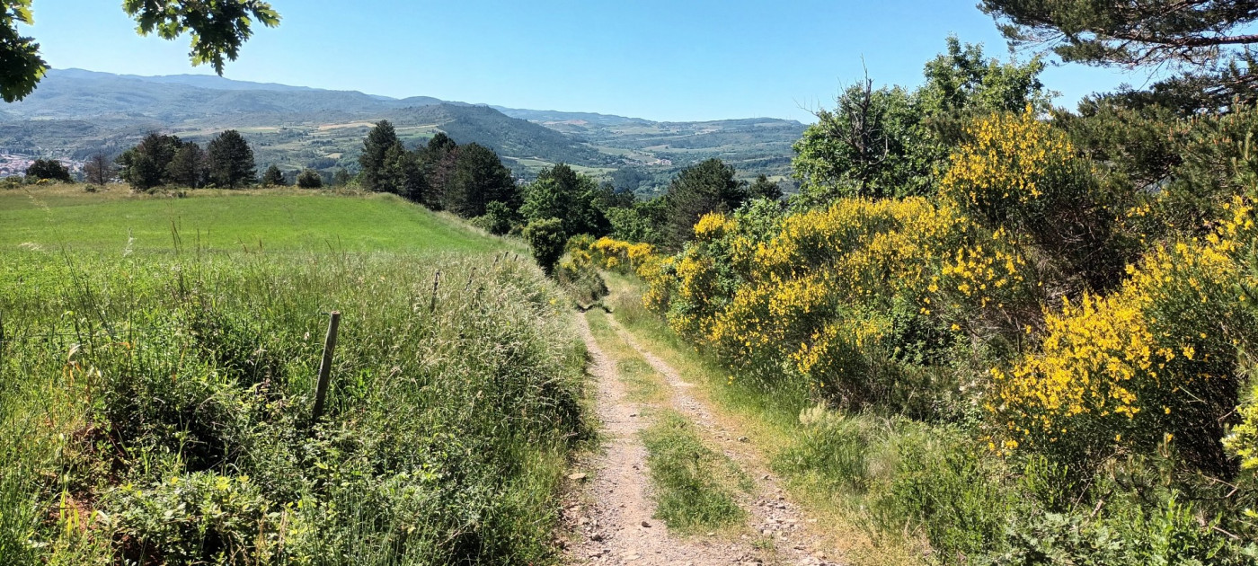 for sale Terrain boisé – forêt Rennes Le Chateau - Photo 1