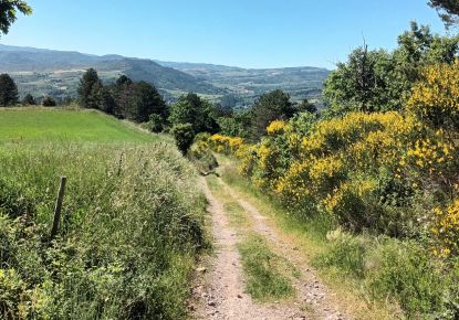 vente Terrain boisé – forêt Rennes Le Chateau