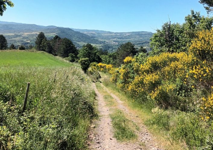 for sale Terrain boisé – forêt Rennes Le Chateau