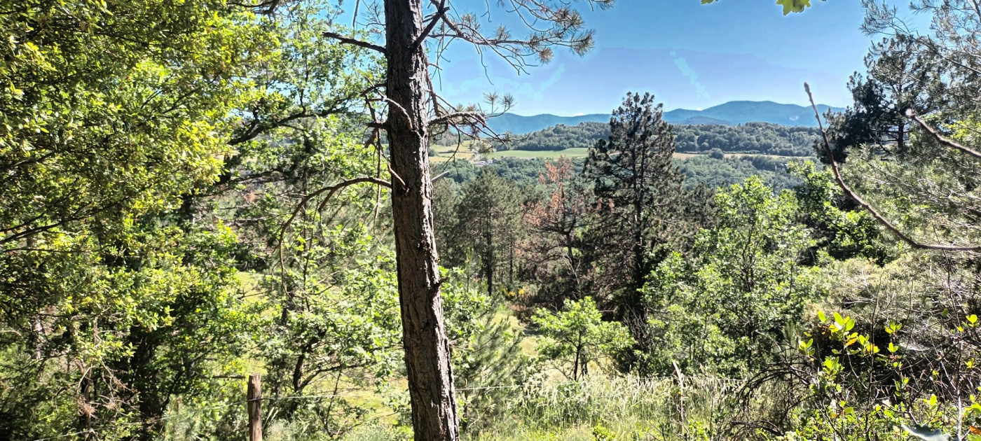 for sale Terrain boisé – forêt Rennes Le Chateau - Photo 3