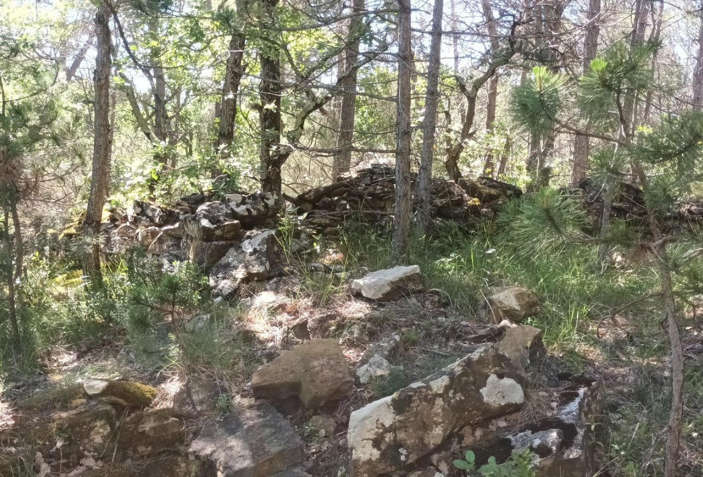 vente Terrain boisé – forêt Rennes Le Chateau - Photo 8