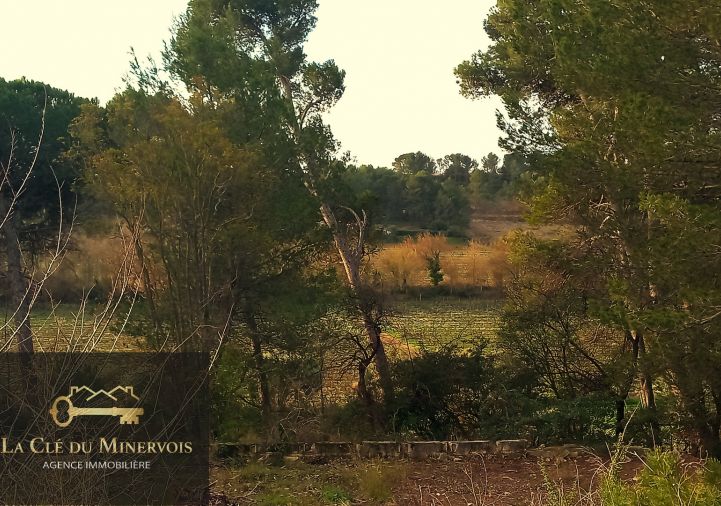 à vendre Terrain Rieux-minervois
