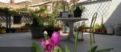 vente Maison Azille