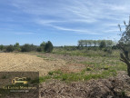 à vendre Terrain constructible Ginestas