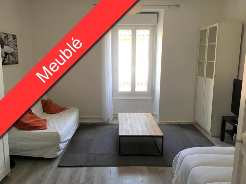 location Appartement Millau - Photo 1