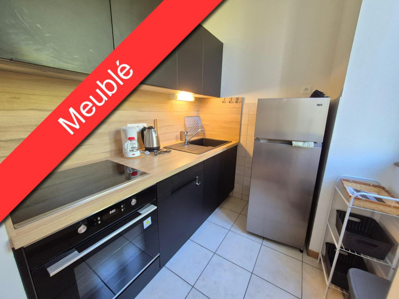 location Appartement Millau - Photo 1