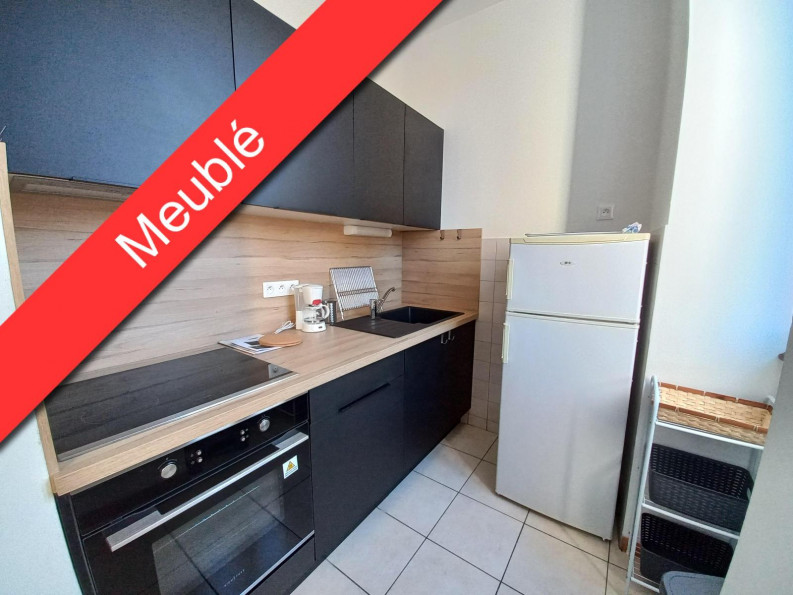 location Appartement Millau - Photo 1