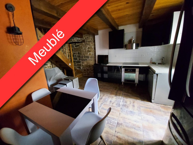 location Appartement Millau - Photo 1