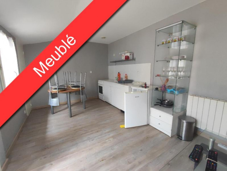 location Appartement Millau - Photo 1