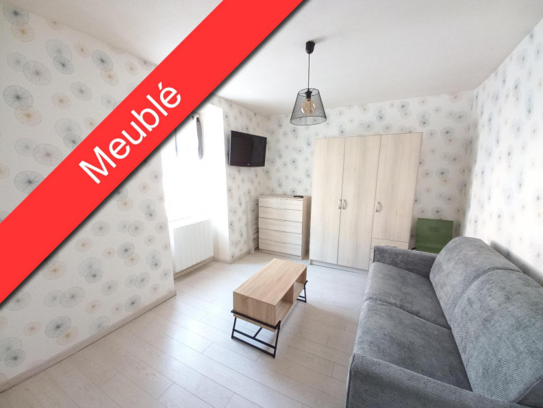 location Appartement Millau - Photo 1