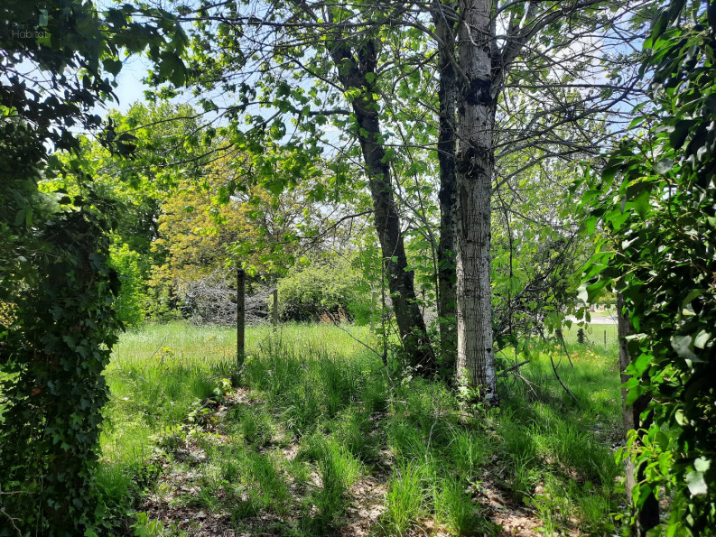 vente Maison Marcoles - Photo 3