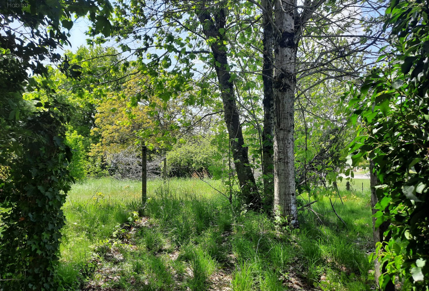 vente Maison Marcoles - Photo 3