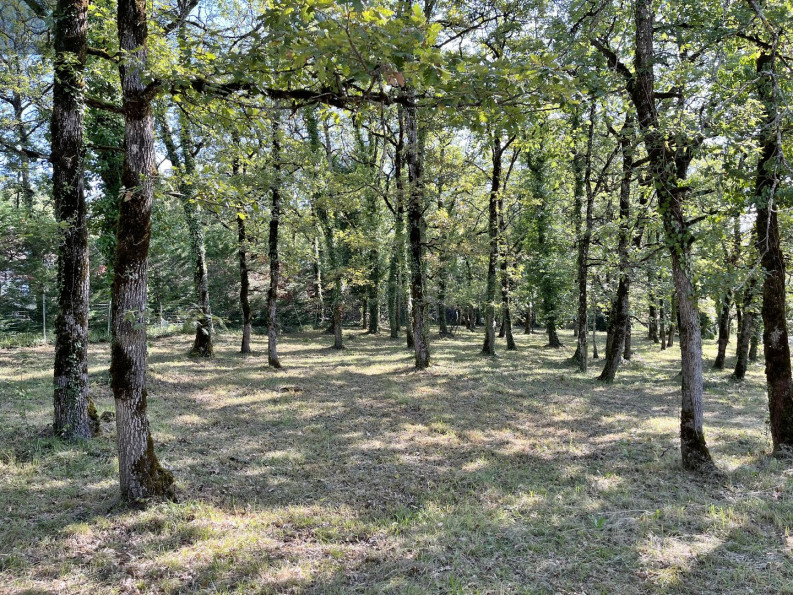 vente Terrain Villefranche De Rouergue - Photo 1