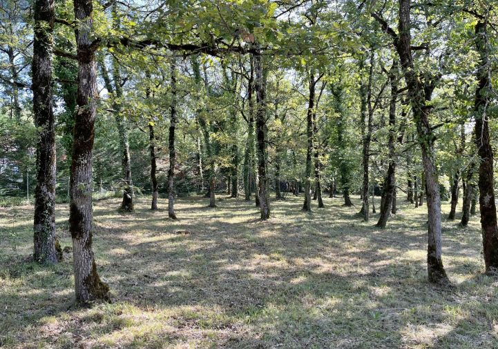 vente Terrain Villefranche De Rouergue