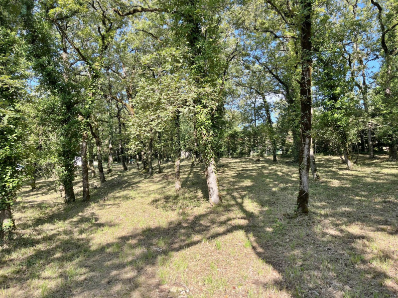 vente Terrain Villefranche De Rouergue - Photo 2