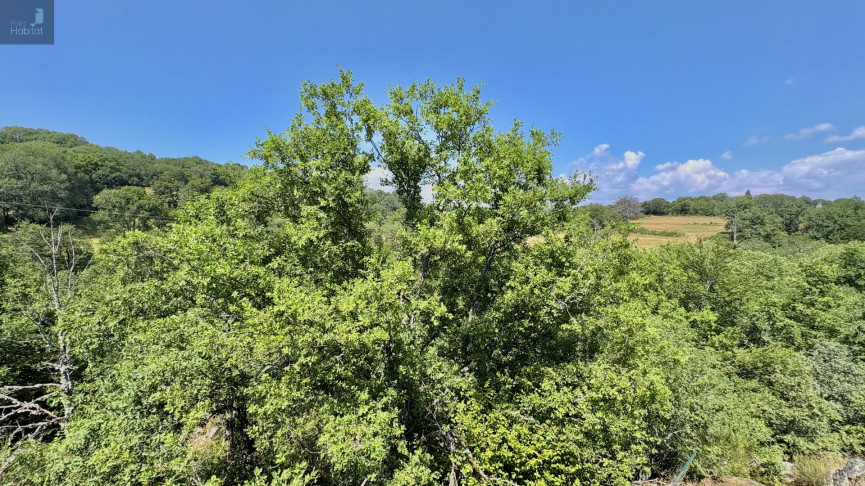 vente Maison Laguiole - Photo 8