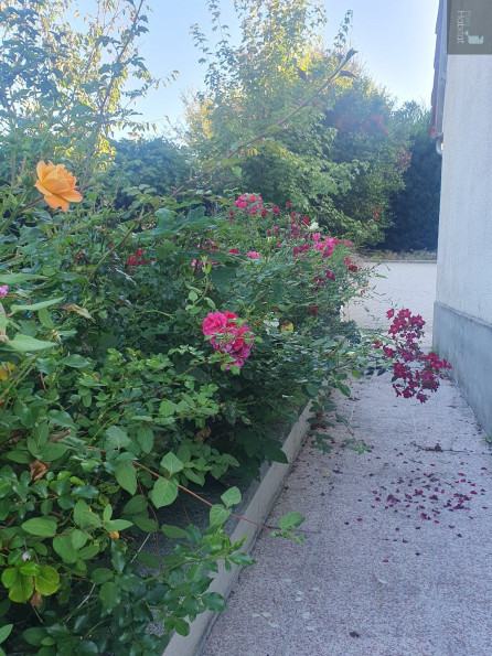 vente Maison Le Rouget - Photo 8